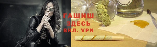 apvp Каменка