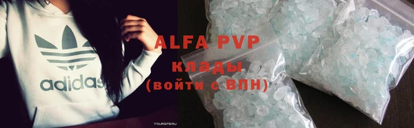 apvp Каменка
