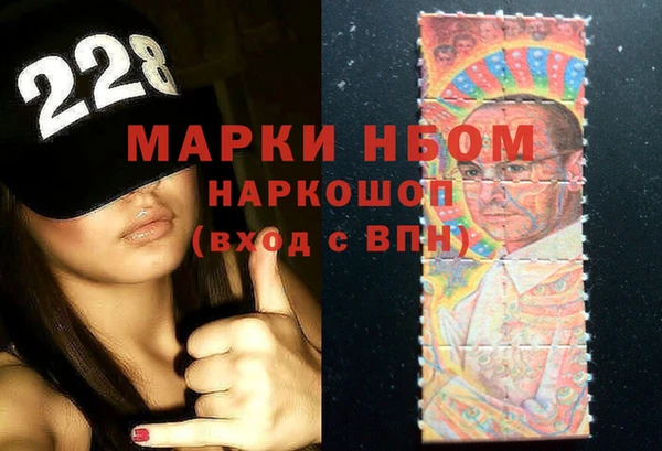 сатива Каменногорск