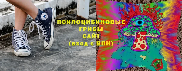 apvp Каменка