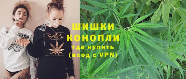 apvp Каменка