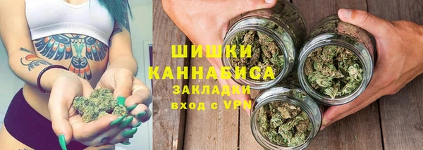 сатива Каменногорск