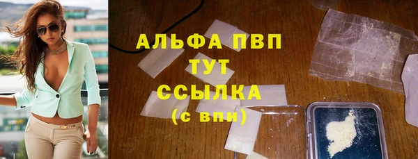 сатива Каменногорск