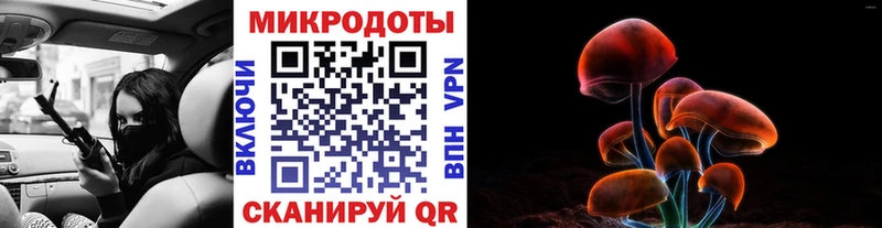 Псилоцибиновые грибы Psilocybine cubensis Купить Нурлат